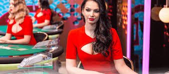 স্লট বিনোদনের রঙিন থিম নিয়ে velki গাইড